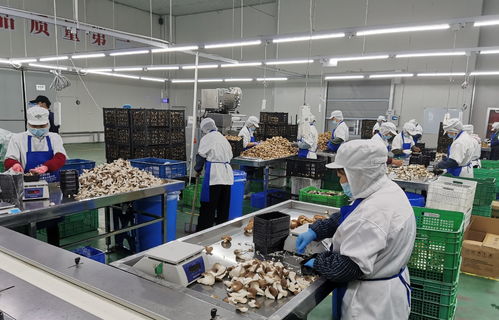 守護舌尖上的安全 寶山食品生產企業(yè)開展自律互查活動
